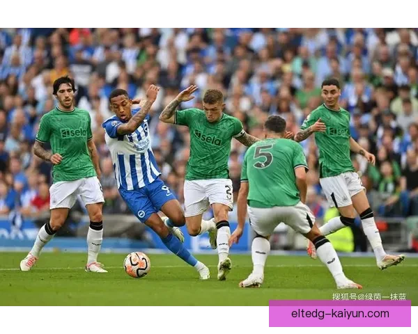 英超卢顿引援策略分析：夏季转会市场表现稳健