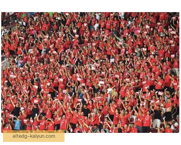 中超球迷文化现状与发展趋势分析与观赛热情走势清晰